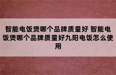 智能电饭煲哪个品牌质量好 智能电饭煲哪个品牌质量好九阳电饭怎么使用